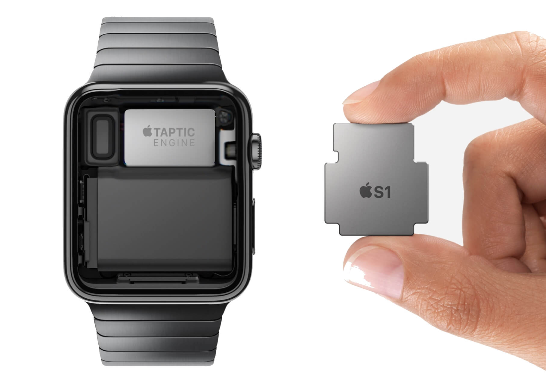 Почему на часах apple watch. Apple IWATCH 1 поколения. Taptic engine Apple watch. IMEI часы Apple IWATCH. Часы Аппле вотч изнутри.