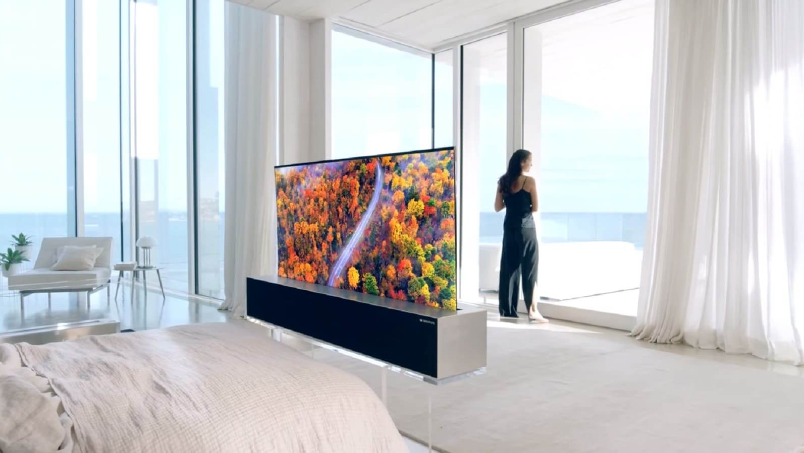 LG OLED TV R