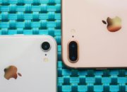 iPhone 8 признан самым опасным для здоровья смартфоном
