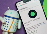 Google выпустила Android 11 Developer Preview 1