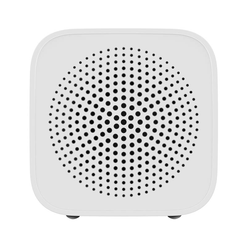 XiaoAI Portable Speaker