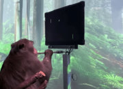 Neuralink Илона Маска показал чипированную обезьяну, играющую в пинг-понг силой мысли