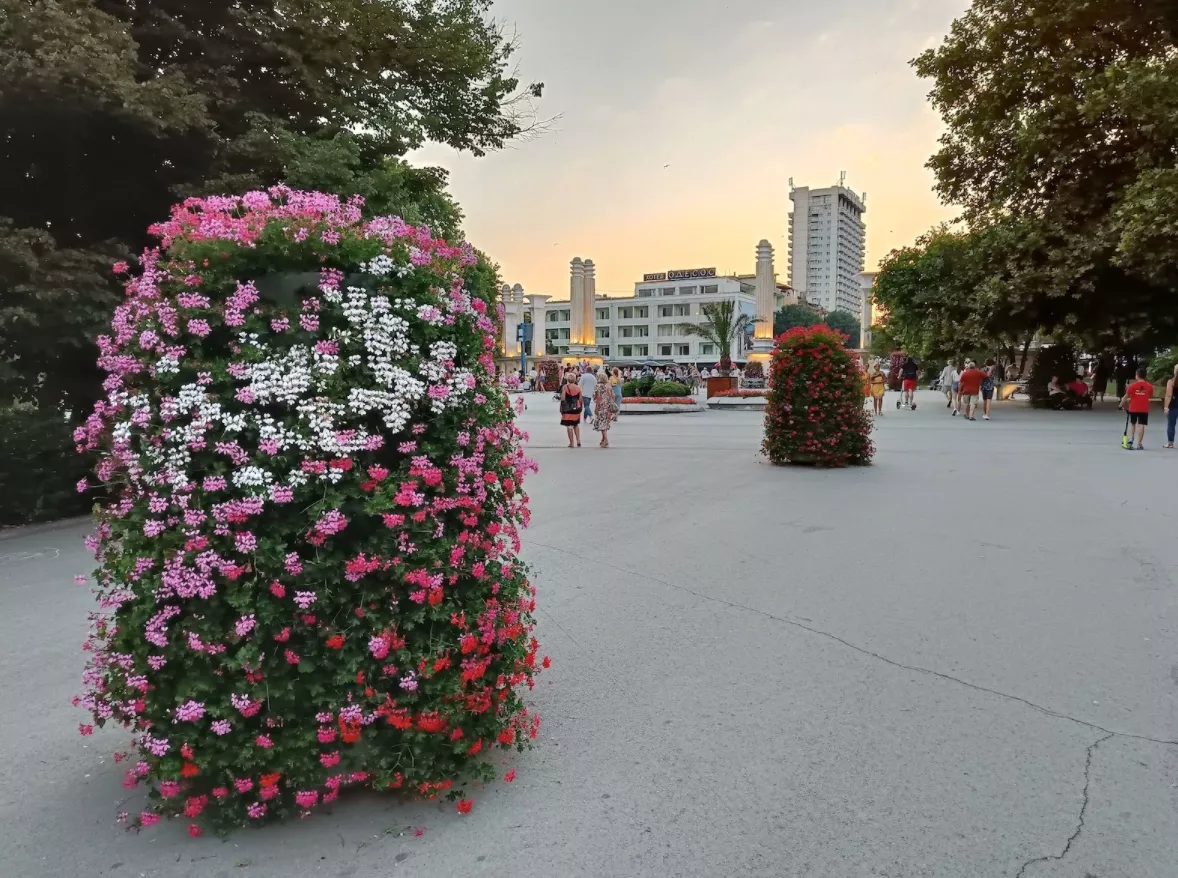 Камера OnePlus Nord 2