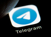 Telegram выпустил обновление – Premium-реакции доступны теперь всем
