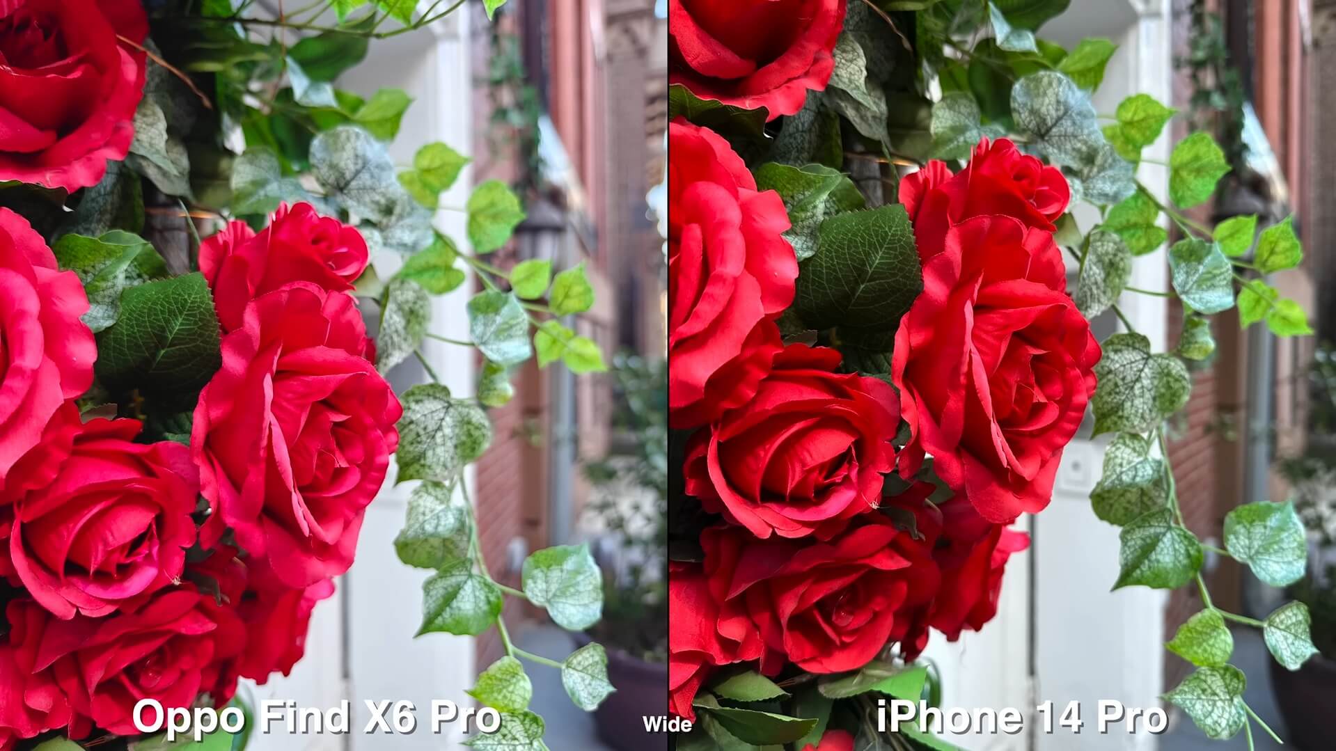 OPPO Find X6 Pro сравнили с iPhone 14 Pro по качеству фото и видео