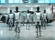Роботы-гуманоиды Tesla Optimus «прогуливаются» по цехам с Cybertruck