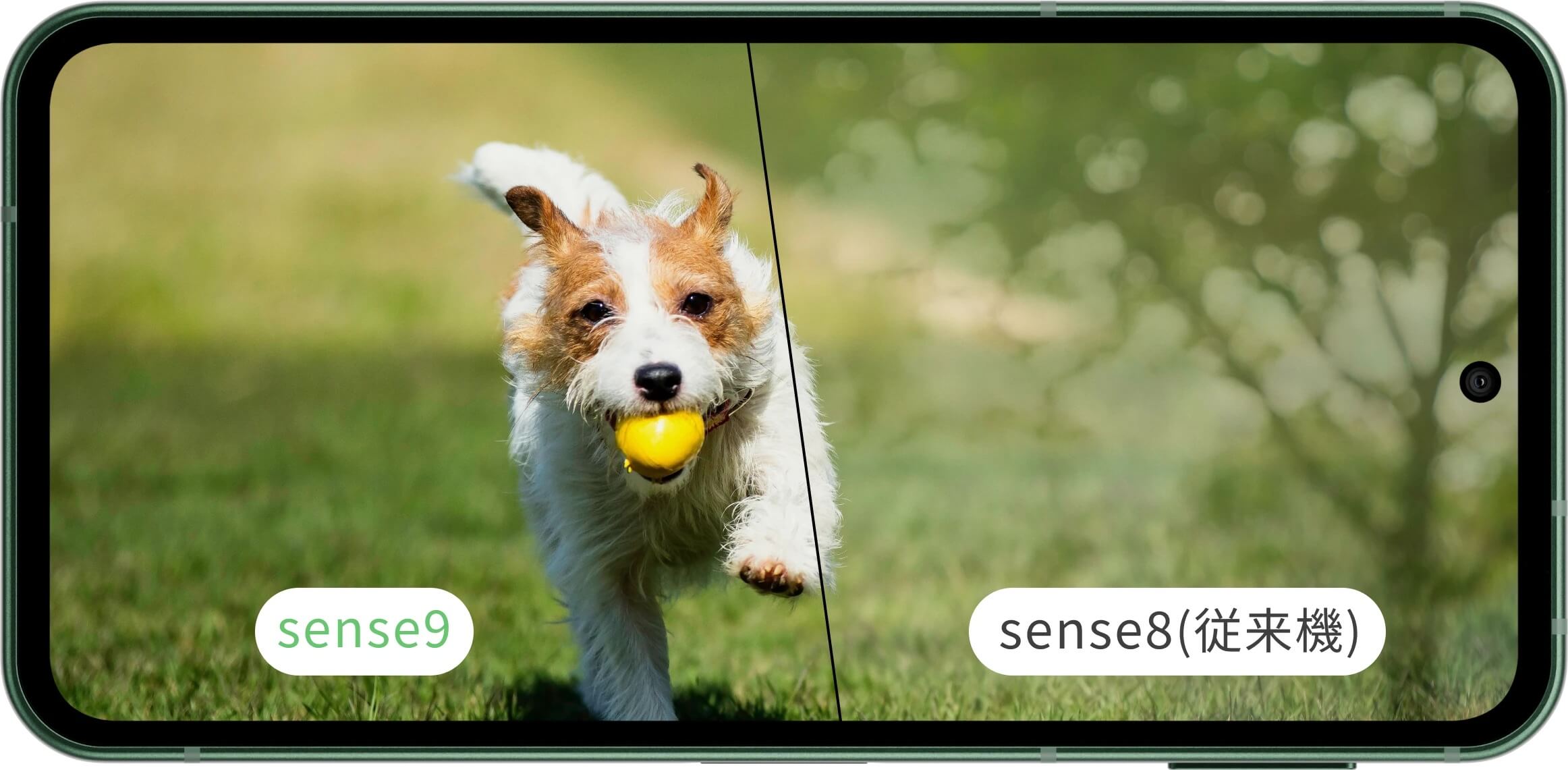 Sharp Aquos Sense 9 Дисплей