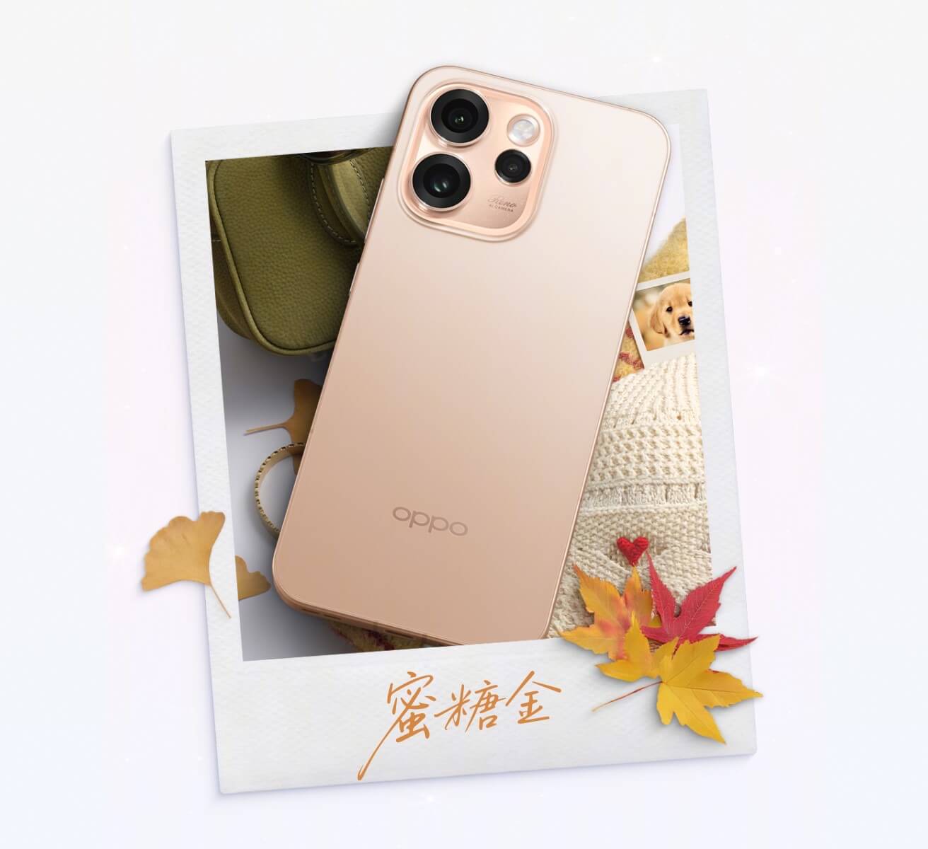 Reno 15 Pro Reno 15 Pro