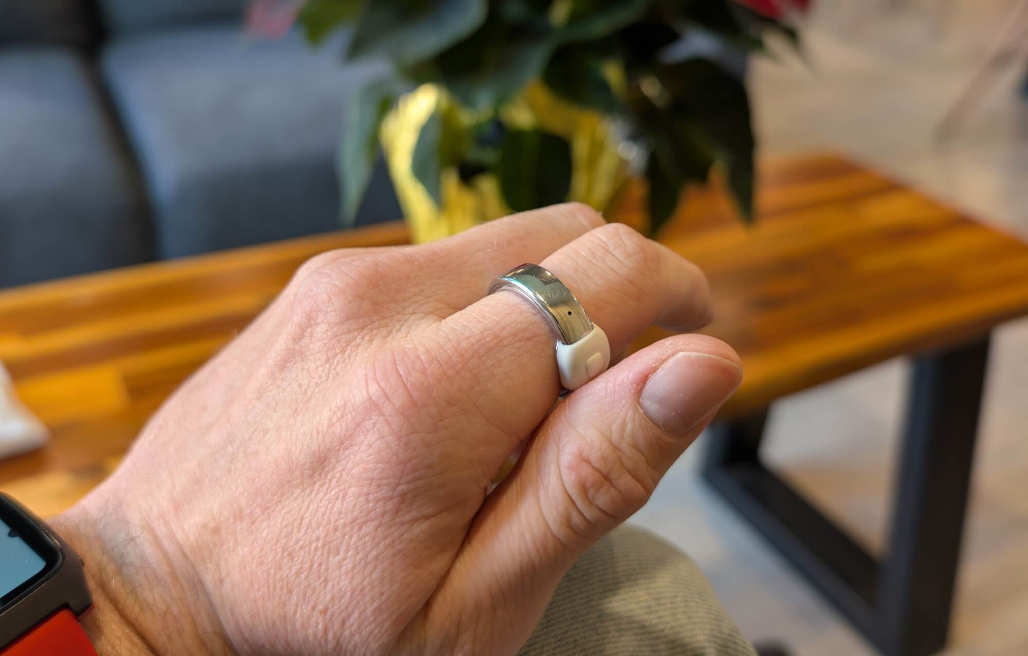 Pebble Index 01 Pebble Index 01