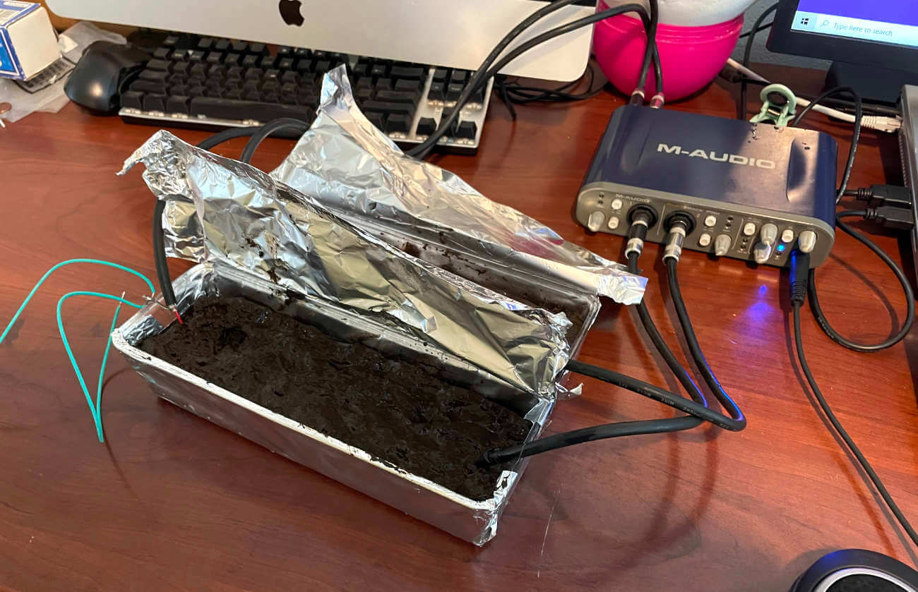 Аудиофилы не услышали разницы в звуке, передаваемом через кабель, землю и банан