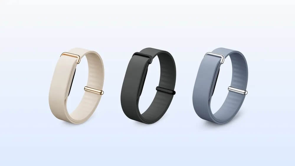 Google Fitbit Air