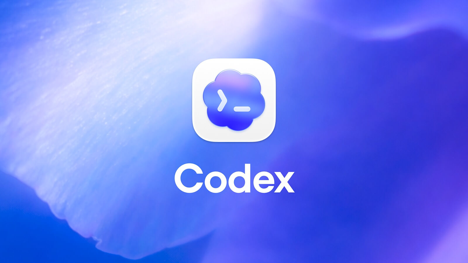 Ошибка в Codex может вывести SSD из строя за год