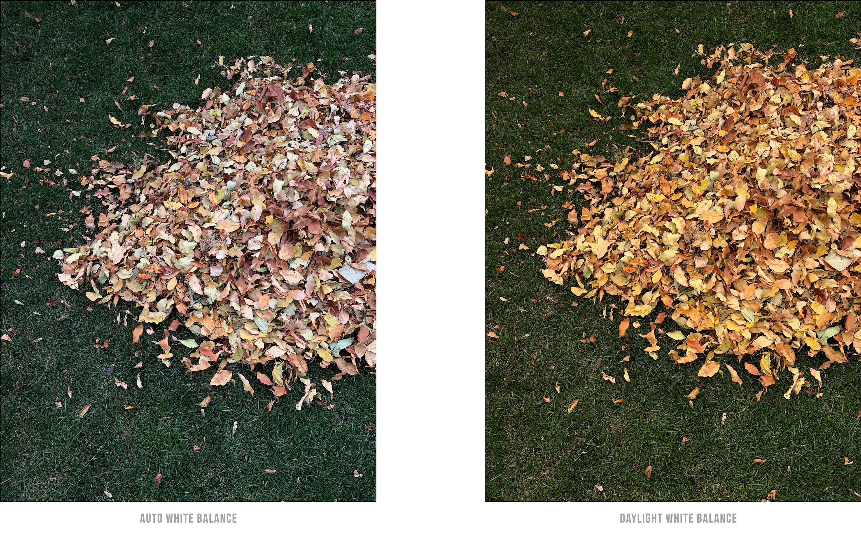 Example photo with manually adjusted white balance Example photo with manually adjusted white balance