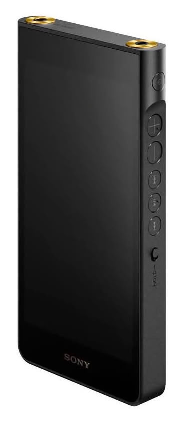 Sony Walkman NW WM1AM3 Sony Walkman NW WM1AM3